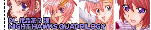 NIGHT HAWKS QUADRILOGY