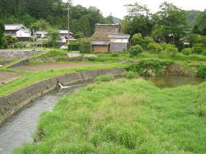 no11