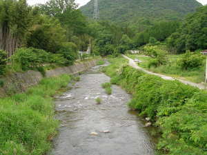 no13