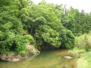 no16