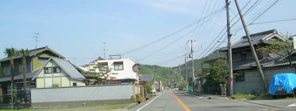 no20