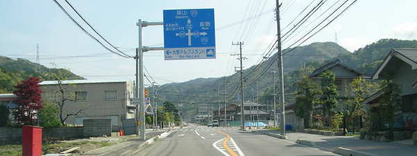 no31