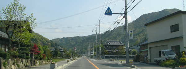 no33